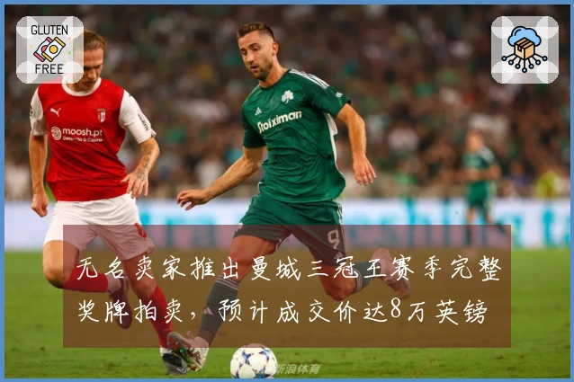 无名卖家推出曼城三冠王赛季完整奖牌拍卖，预计成交价达8万英镑