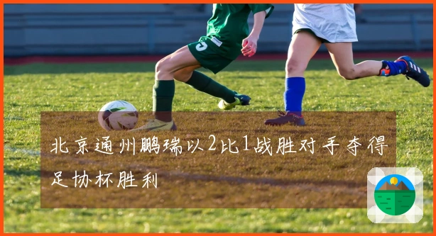 北京通州鹏瑞以2比1战胜对手夺得足协杯胜利