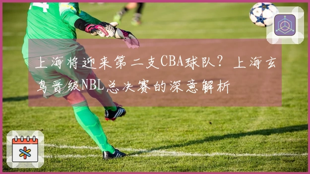 上海将迎来第二支CBA球队？上海玄鸟晋级NBL总决赛的深意解析