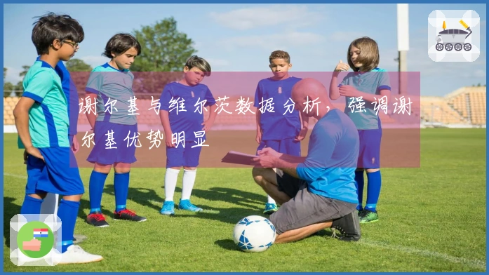 谢尔基与维尔茨数据分析，强调谢尔基优势明显