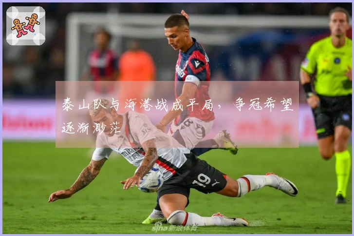 泰山队与海港战成平局，争冠希望逐渐渺茫