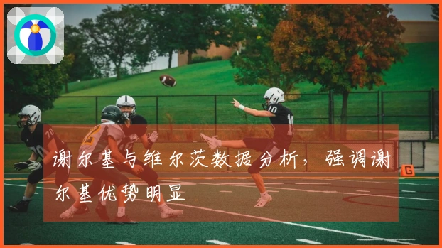 谢尔基与维尔茨数据分析，强调谢尔基优势明显
