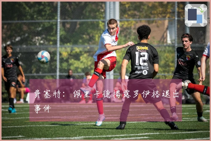 费塞特：佩里卡德揭露罗伊格退出事件